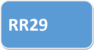 מקרר RR29