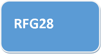 מקרר RFG28
